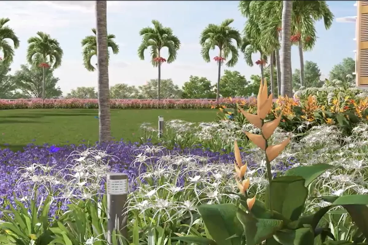 Garden